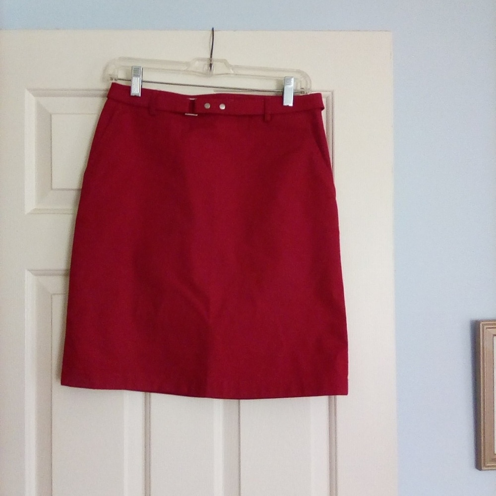 Ann Taylor skirt